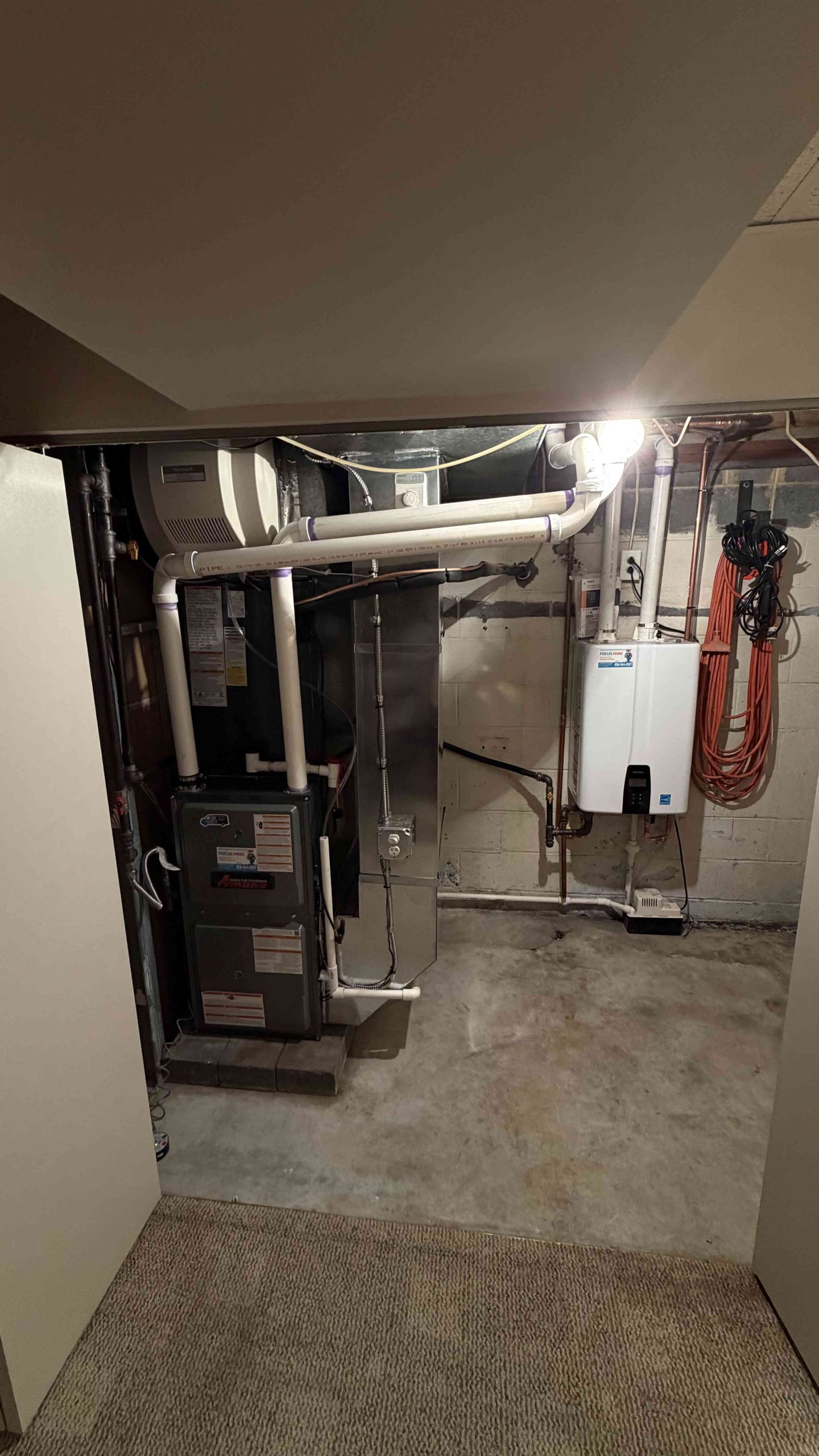 Furnace and tankless water heater